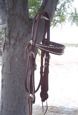 western bridles image